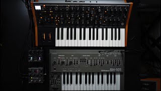 Analog synth jam with the Roland SH101 Moog Subsequent 37 Walrus Sloër Source Audio Ventris [upl. by Carlene381]