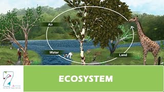 ECOSYSTEM [upl. by Ademordna]