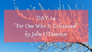 For One Exhausted by John ODonohue  PoemADay Project Day 14  Living Sacred with Keli Tomlin [upl. by Ecinerev]