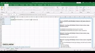 How to COUNTIF with Multiple Criteria in the Same column in Excel [upl. by Minier595]