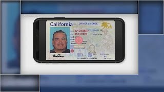 How mobile drivers license tech could be used by Bay Area businesses [upl. by Ranjiv]