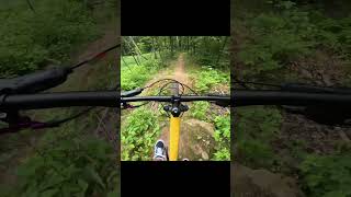 Hardtails are the best mtb mountainbike gopro mtblife mountainbiking trail hardtail [upl. by Nnylyak]