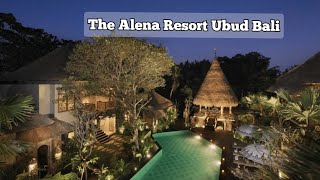 The Alena resort by pramana ubud l staycation l dinner at thy neighboard l review hotel [upl. by Ahsini522]