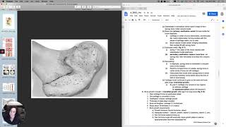 Skeletal System 6 Endochondral ossification and interstitial growth [upl. by Yraccaz]