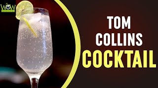 Tom Collins Cocktail Recipe  How to Make Tom Collins Cocktail  Online Kitchen  Wow Recipes [upl. by Jowett]