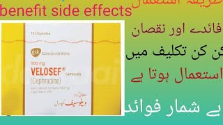 velosef capsules benefits in urdu  velosef capsules 500mg dosage velosef capsule 500mg uses [upl. by Hole218]