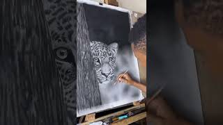 Leopard drawing charcoal pencil on paper charcoaldrawingtutorial art artsupplies [upl. by Nilloc]