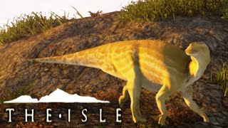 The Isle  MAIASAURA NEW HERBIVORE Early Access Gameplay [upl. by Dougherty596]