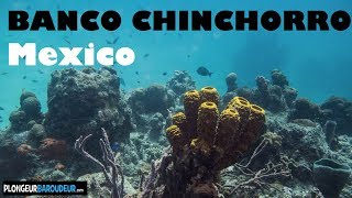 Diving mexico Banco chinchorro Mahahual  Plongée Mexique [upl. by Friedberg241]