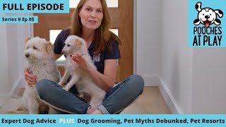 Dog amp cat myths debunked dog grooming pet resorts  Full Episode S9 Ep 5  Pooches at Play [upl. by Ykvir984]