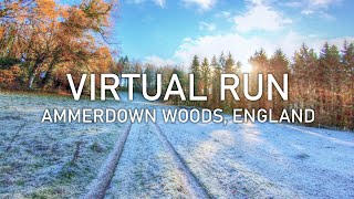 Virtual Run  Ammerdown Woods in Winter  4K POV Treadmill Scenery [upl. by Bullivant]