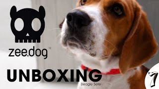 Unboxing  Zee Dog  Beagle Sete [upl. by Adis]