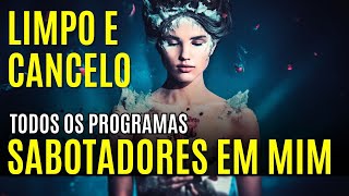 🙏HOOPONOPONO PARA DORMIR  CANCELO TODOS OS PROGRAMAS SABOTADORES DA PROSPERIDADE [upl. by Eniladam730]