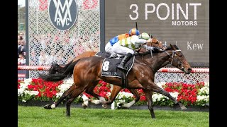 Caulfield  Morphettville Racing Tips  Sir Rupert Clarke Stakes amp Thousand Guineas Day 181123 [upl. by Enoitna]