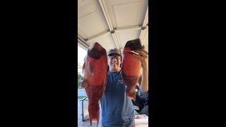 12162023 San Diego Bay  Coronado Islands Mexico  So Many Fish Halibut Sheephead Lingcod [upl. by Ranique]