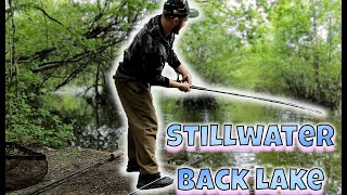 Big Hit on Stillwater Back Lake10 RunCarp Fishing I Moved 4x [upl. by Silvie]