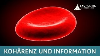 Kohärenz als Grundprinzip biophysikalischer Informationsprozesse  Vortrag Prof Dr Fritz A Popp [upl. by Anikal]