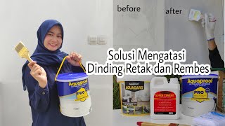 Cara Mengatasi Dinding Retak dan Rembes  Review Aquaproof Pro dan Aquagard [upl. by Kirima]