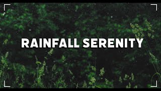 10 Hours of Relaxing Rain Sounds for Deep Sleep Relaxation and Focus  Ultimate Nature Ambience [upl. by Iphlgenia713]