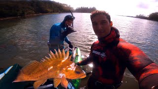 Spearfishing CATCH and COOK  Deep Fried Copper ROCKFISH Vancouver Island [upl. by Downall]