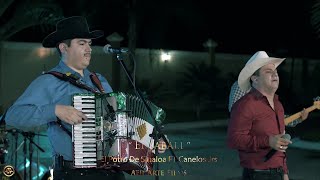 El Potro De Sinaloa Ft Canelos Jrs  El Jabali En Vivo 2018 [upl. by Nolla]