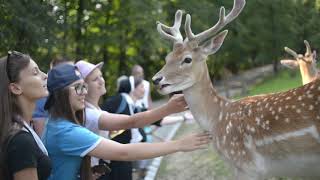 Unit 2 Lesson 2 ReadAloud Classifying Animals Based on Characteristics [upl. by Barbuto]