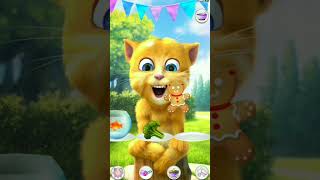 Talking ginger🐈shorts cat kucing viral funny [upl. by Arracot]