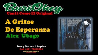 KaraOke  A Gritos De Esperanza Original  Alex Ubago  BuriOkey [upl. by Binetta921]