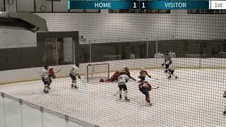 Sascha Pitaev Game Highlights BHA 16U AAA vs LI Gulls [upl. by Nosam]