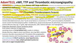 Hematology in 10 Min Hereditary Bleeding Disorder von Willebrand Disease [upl. by Manouch]