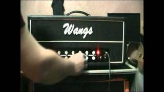 WANGS ALL TUBE AMP VT 50H [upl. by Nagar883]