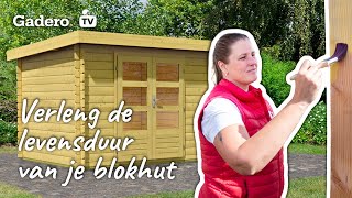 Wat te gebruiken om blokhut te behandelen Ontdek hier alle opties [upl. by Arleen669]