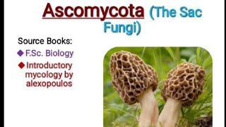 Ascomycota the sac fungi introductory mycology fungi [upl. by Merissa538]