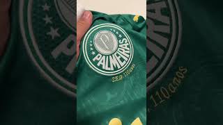 CAMISA NOVA DO PALMEIRAS futebol palmeiras [upl. by Jeffie]