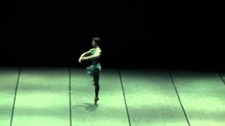 In the Middle Somewhat Elevated  Marta Romagna Roberto Bolle Zenaida Yanowsky [upl. by Dranal]