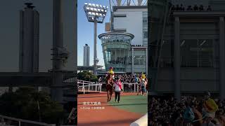 【東京大賞典】 12月29日（金） JPN G1 競馬 地方競馬 大井競馬場 東京大賞典 川田将雅騎手 [upl. by Assiluy5]