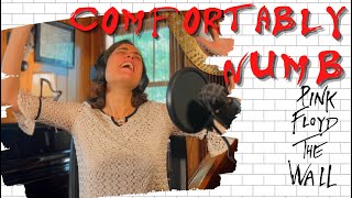 Pink Floyd Comfortably Numb  A Classical Musician’s First Listen and Reaction [upl. by Elatia]