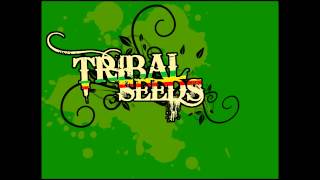 Tribal Seeds  Warrior [upl. by Py]