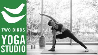 60 Minute Challenging Wrist Free’ Vinyasa Flow [upl. by Cayla]