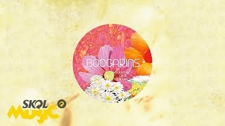 Boogarins  Paul [upl. by Forcier]