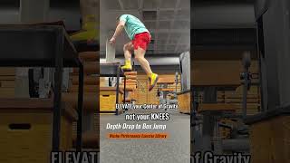 DEPTH DROP TO BOX JUMP  🥋 Wushu Performance Exercise Library 🇨🇳 [upl. by Mcmullan]