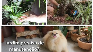 Todo jardim precisa de manutenção [upl. by Iuq313]