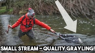 Small Stream Grayling Euro Nymphing [upl. by Aroz]