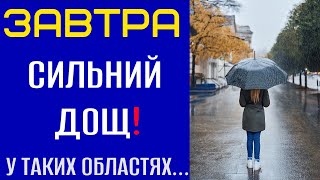 ПОГОДА НА ЗАВТРА  20 ЛИСТОПАДА Прогноз погоди в Україні [upl. by Pepito]