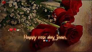 Mere Liye Meri Duniya Ho Tum ♥ Happy Rose Day Jaan💝🌹Rose Day Status 2024 Happy Rose Day Status [upl. by Hennebery556]