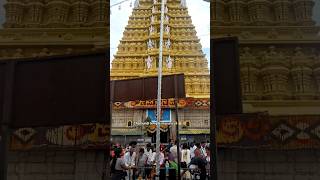 Way to chamundi temple mysuru ✨🙏shortsshortsvideoshortvideoshort [upl. by Ellsworth]