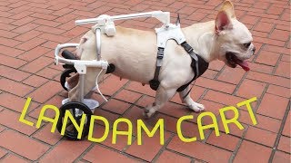 全く新しい犬用車椅子 LANDAM CART [upl. by Assisi972]