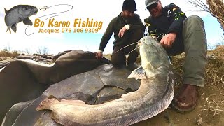 Catfishing the Orange River Compilation [upl. by Lluj]