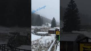 Nevica ad Alba di Canazei  Trentino 3 Dicembre 2024 [upl. by Enois]