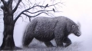 Mastering Fur Texture  Realistic Bear Drawing Tutorial  Pencil Perfections [upl. by Dnalloh269]